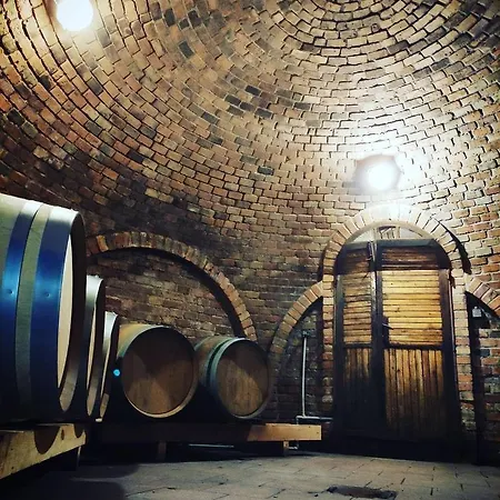 Appartement Vinarstvi Ehrlich *