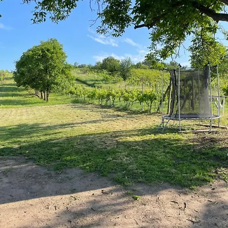 Vinarstvi Ehrlich * Milotice